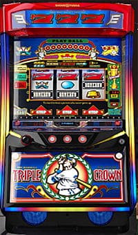 LB TCSF4