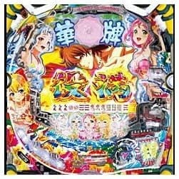 PA華牌RR with 清水あいりV2